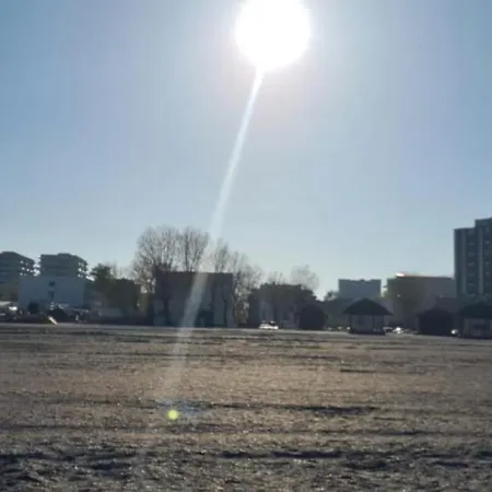 Adamar Plaja Vega Mamaia
