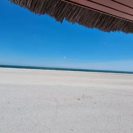 Adamar Plaja Vega *