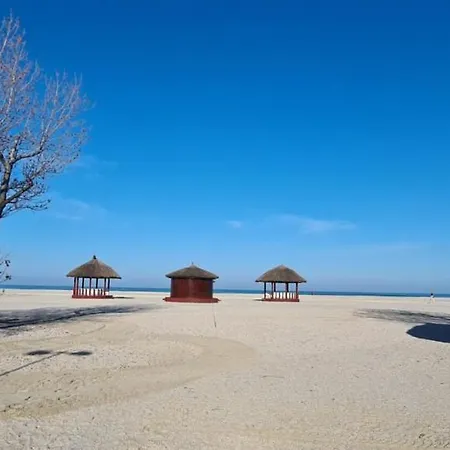 아파트 Adamar Plaja Vega 마마이아